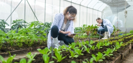 Modelo Cultura Seguridad Alimentaria