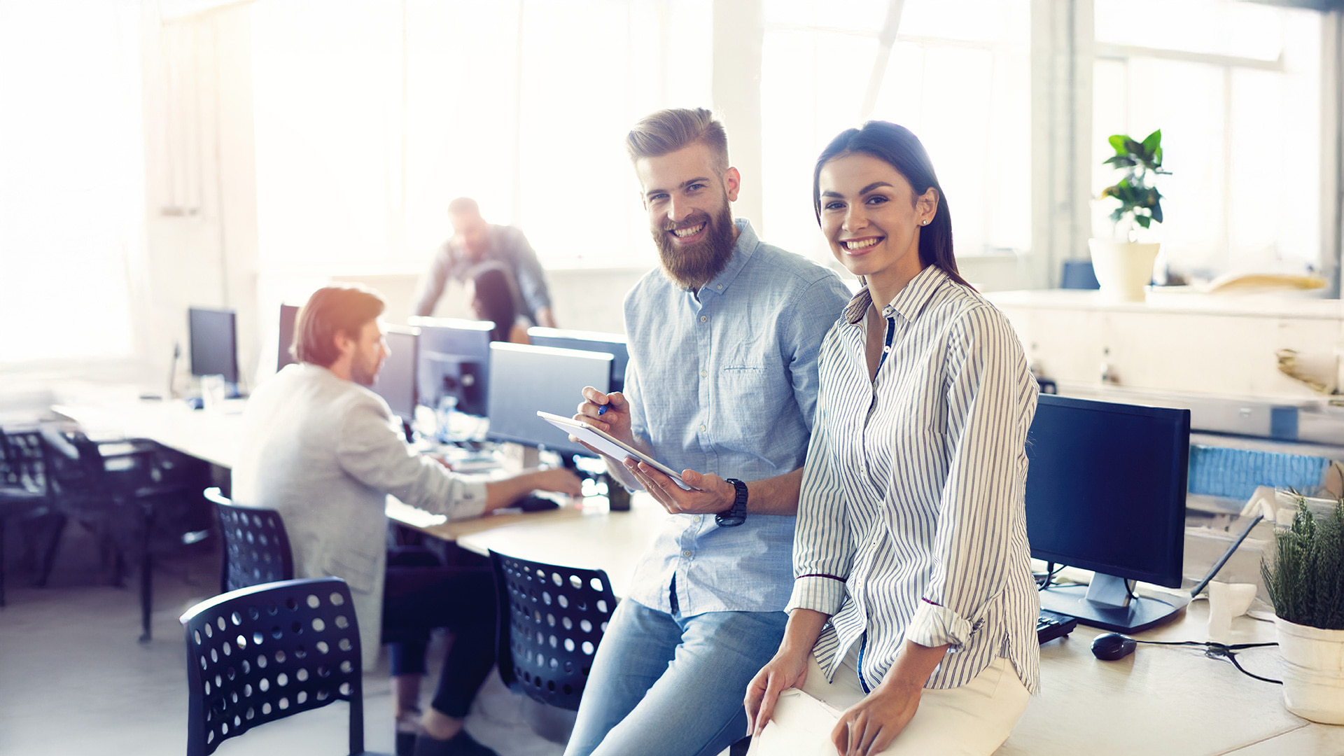 Paid Media PPC