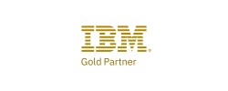 public://ibm_partner_plus_gold_partner_mark_pos_gold_rgb.jpg