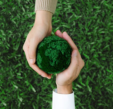 iso 14001 medio ambiente