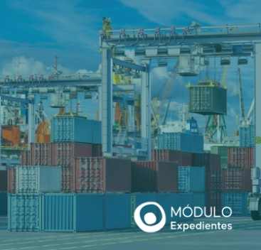 Módulo Expedientes