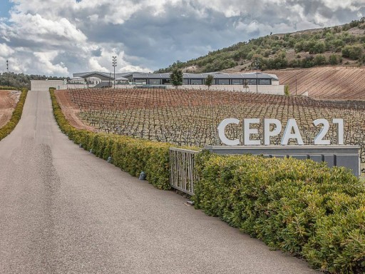 Inteligencia artificial aplicada al sector vinícola 