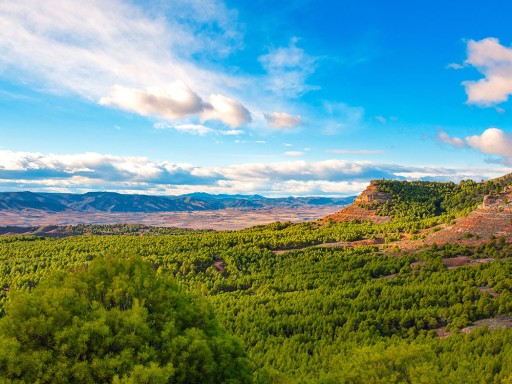 De sistemas aislados a una gestión unificada y sin duplicidades De sistemas aislados a una gestión unificada y sin duplicidades
