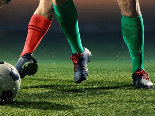 Implantación y personalización de plataforma e-learning para formación federativa