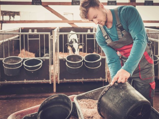 Sistema basado en IA para optimizar la producción de piensos